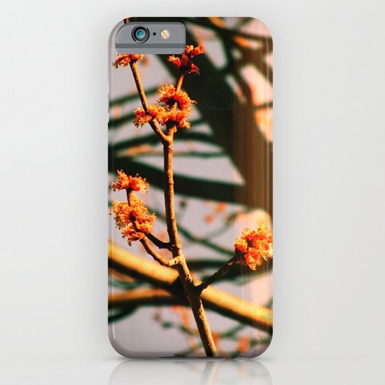 Spring iPhone & iPod Case