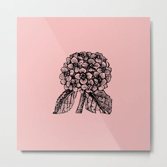 Pink Hydrangea Metal Print