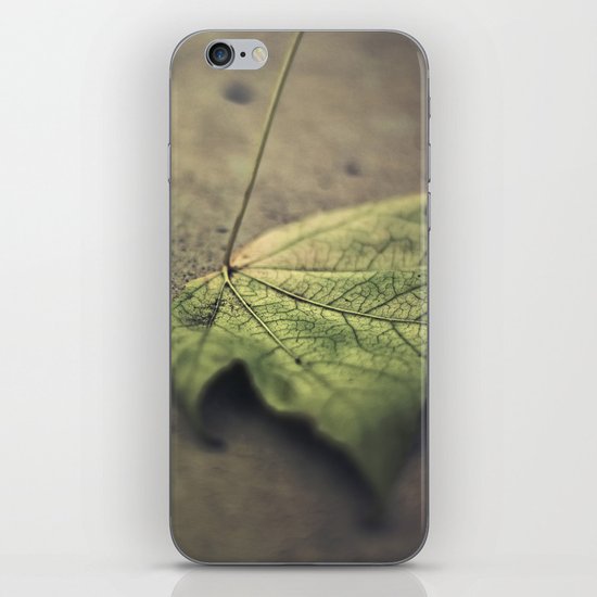 I'm going through changes iPhone & iPod Skin