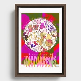 The Fantastic World of Microfossils Framed Canvas