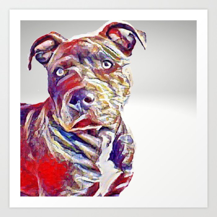 society6