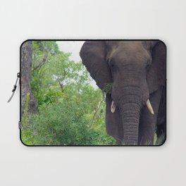 South Africa Photography - Elephant Walking Through The Forest Laptop Sleeve