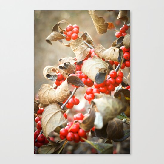Winter Berries Canvas Print