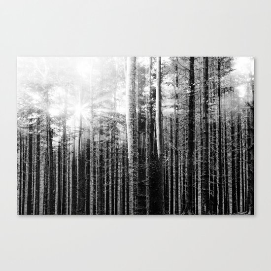 Forest V Canvas Print