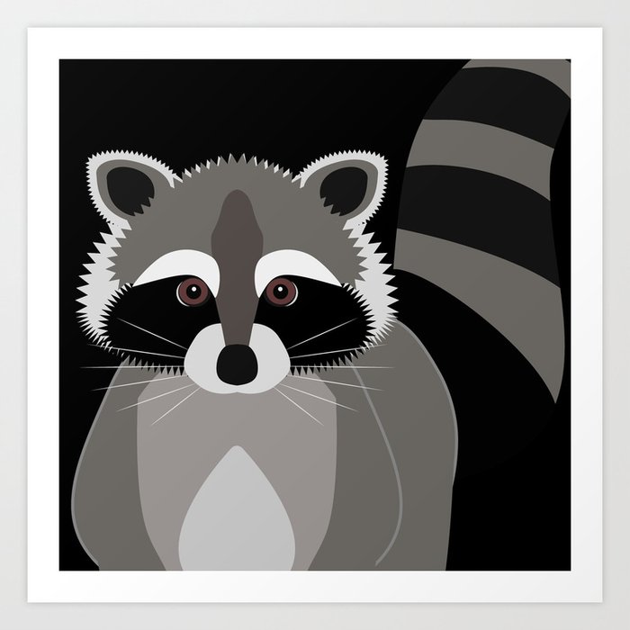 Raccoon in the Night Art Print