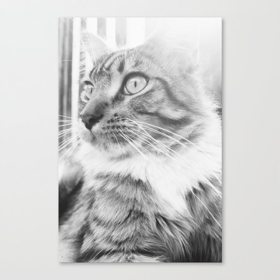 Chi Canvas Print