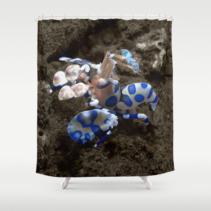 Harlequin Shrimp Shower Curtain