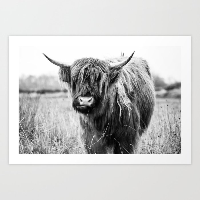 Highland Cow Landscape, Black and White Art Print