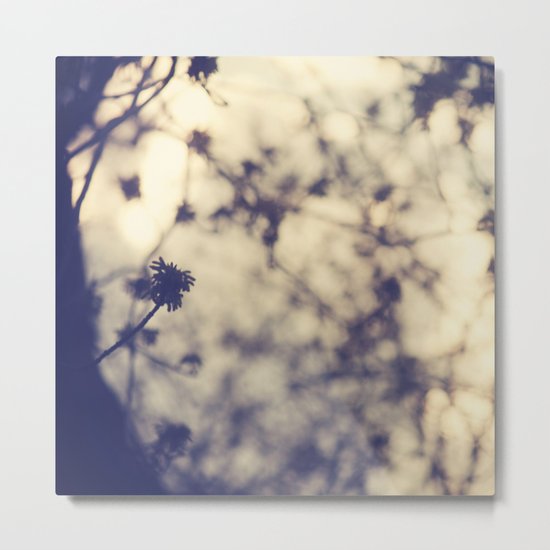 before the sun comes down Metal Print