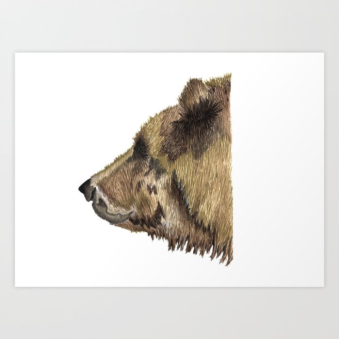 Horizontal Bear Canadian Profile Art Print