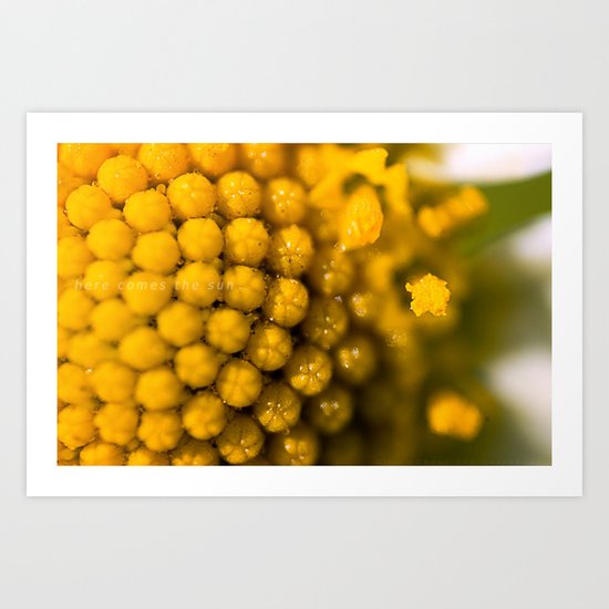 Here comes the sun Art Print