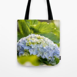 Blue and yellow flower, Hydrangea, cute and beautiful blossom. Tote Bag