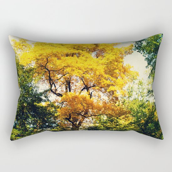 fall in Central Park Rectangular Pillow