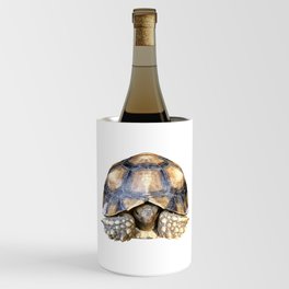 Sulcata Tortoise Wine Chiller