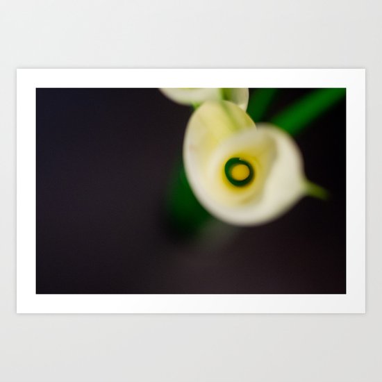 Lily Calla - Everyone Art Print