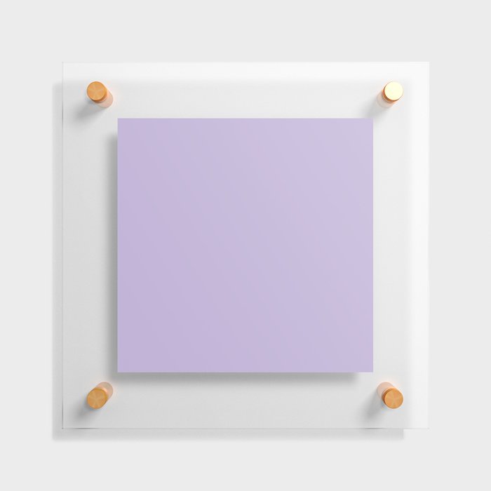 Lavender Floating Acrylic Print