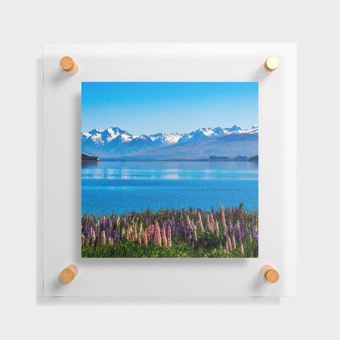 New Zealand Photography - Flower Field In Front Of The Blue Sea Floating Acrylic Print
