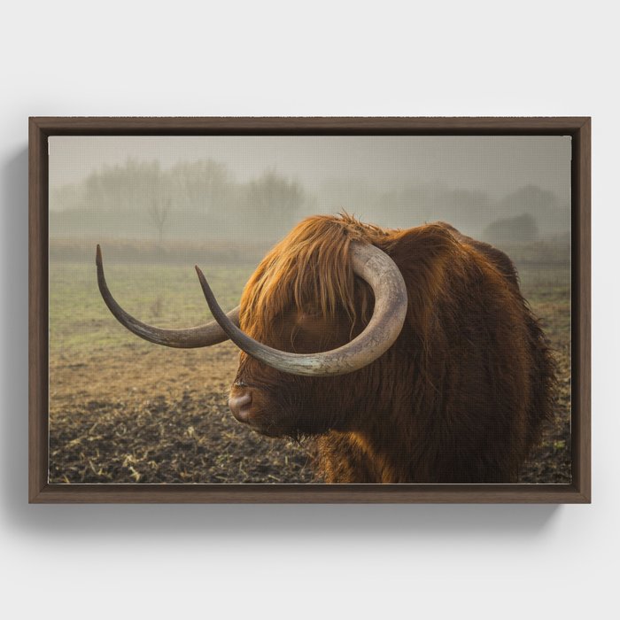 Bison Framed Canvas