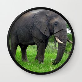 South Africa Photography - An Elephant On The Green Grassy Field Wall Clock