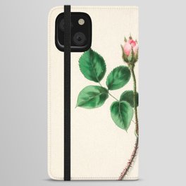  Moss rose by Clarissa Munger Badger, 1866 (benefitting The Nature Conservancy) iPhone Wallet Case