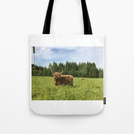 Fluffy Highland Cattle Cow 1181 Tote Bag