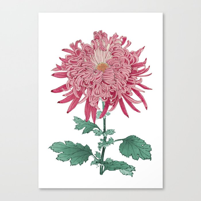 Chrysanthemum Flower Artwork - 010 Canvas Print