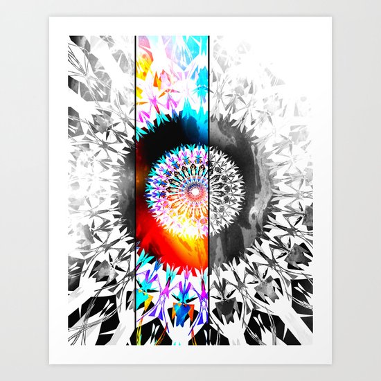 SOLANACEAE Art Print