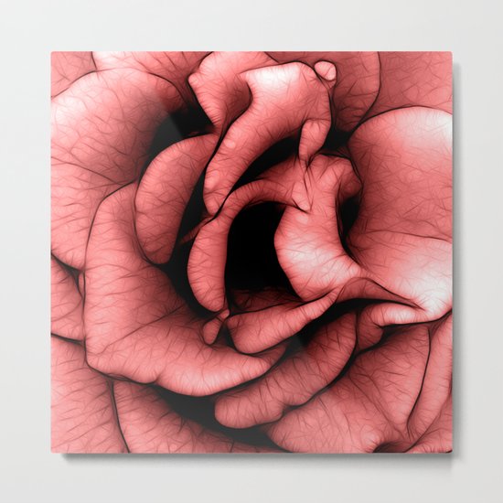 Rose Metal Print