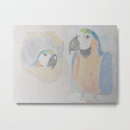 Macaw Parrots - Leaving Home Metal Print