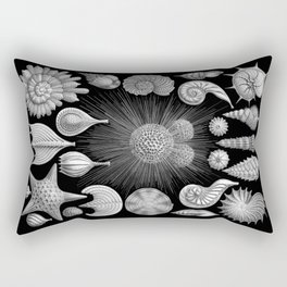 Sea Shells and Starfish (Thalamophora) by Ernst Haeckel Rectangular Pillow