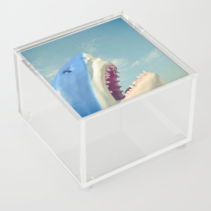 Shark! Acrylic Box