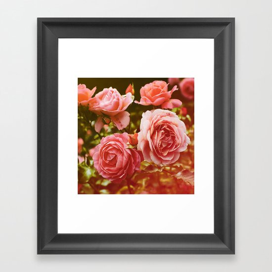 roses Framed Art Print