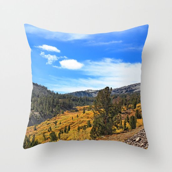 Mt Rose Throw Pillow