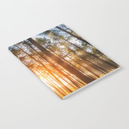 sunset behind trees in forest landscape - nature photography Notebook