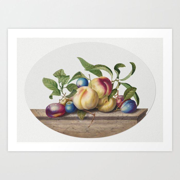 Peaches and Plums on a Slab of Marble Art Print
