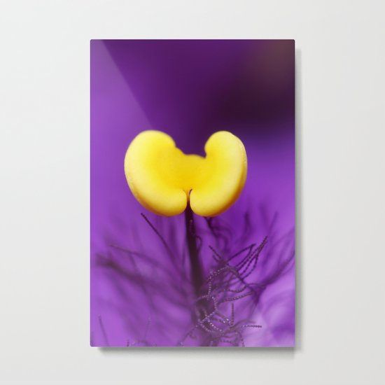 Sweet Kate Metal Print