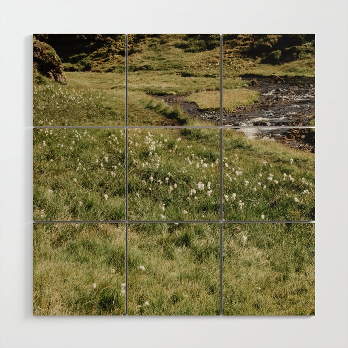 stream in the mountains Wood Wall Art