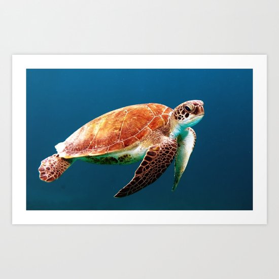 Turtley Art Print