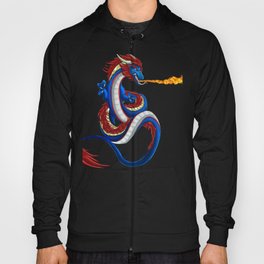 Dragon Fire RPG Tabletop Gaming Dungeon graphic Hoody