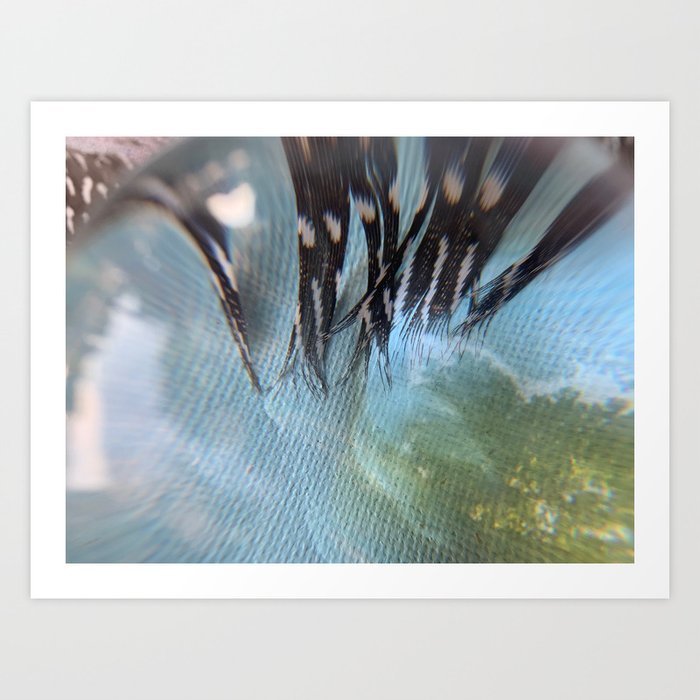 Feather Abstract-Photography Art Print
