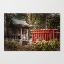 Hidden Forrest Shrine Canvas Print