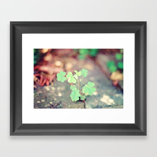 Shamrocks Framed Art Print