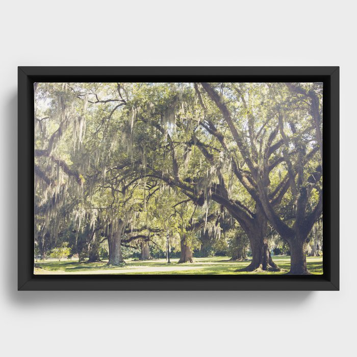 Audubon Park - New Orleans Framed Canvas