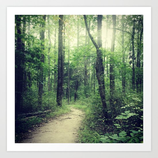 A Walk Through the Woods Art Print