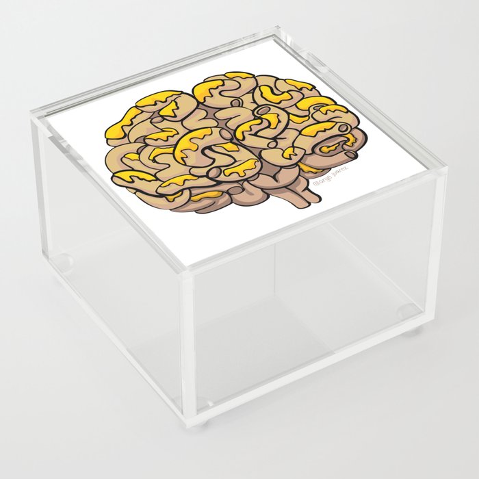 Noodle Brain Acrylic Box