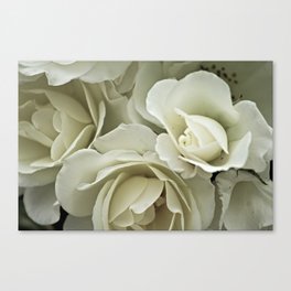 Flowers White Roses Flower Bouquet Macro Canvas Print
