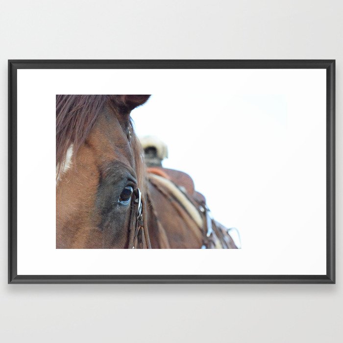 Rope Horse Framed Art Print