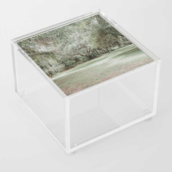 path in the park	 Acrylic Box