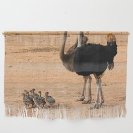 South Africa Photography - Ostrich Parents With Their Children Wall Hanging