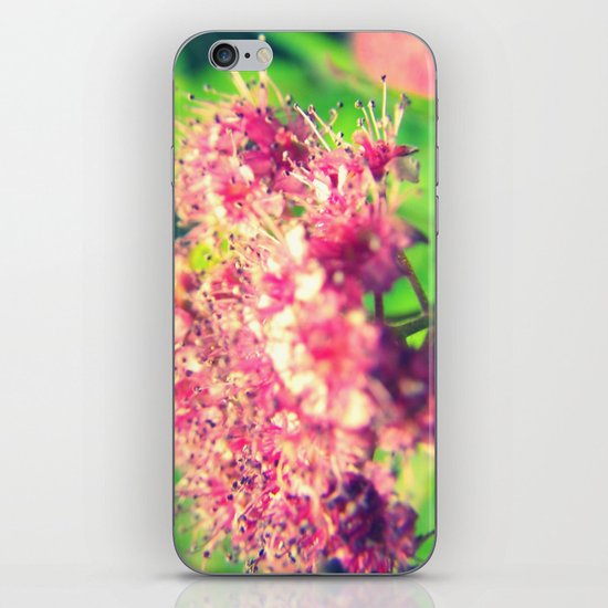 Florid Fuchsia iPhone & iPod Skin